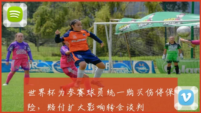 世界杯为参赛球员统一购买伤停保险，赔付扩大影响转会谈判